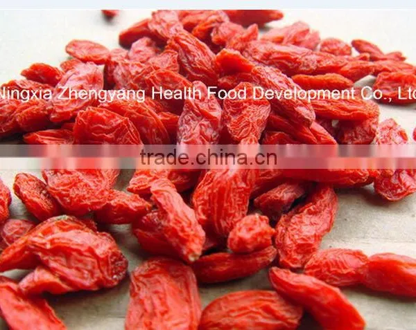 High Quality & Organic Goji Berry photo-2