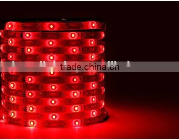 5050 RGB ed Strip photo-6