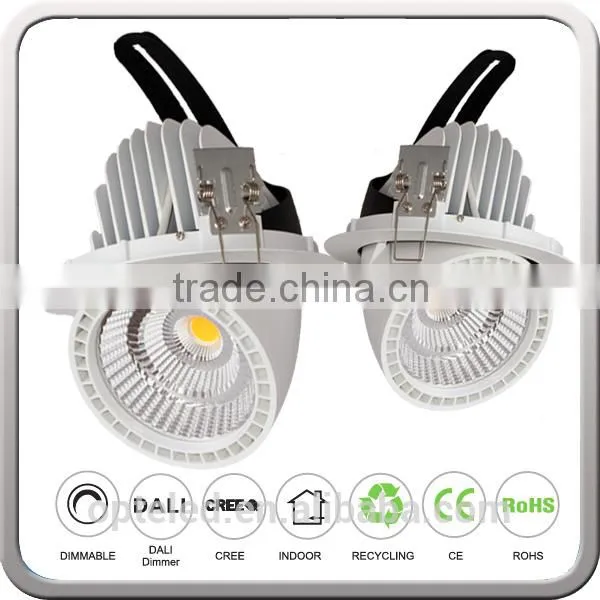 8 Inch 9inch 40W 50W 60W Gimble Down Light 230mm Dimension LED Gimbal Downlight With CREE Meanwell Driver photo-3