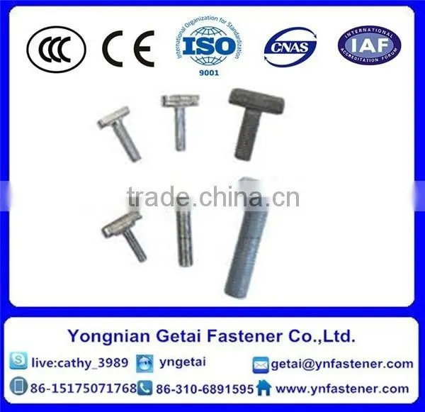 T-head Bolts With Square Neck Bolts , Hot Dip Galvanized (H.D.G) /Galvanized With Black /yellow Zinc Plated/blue White photo-5