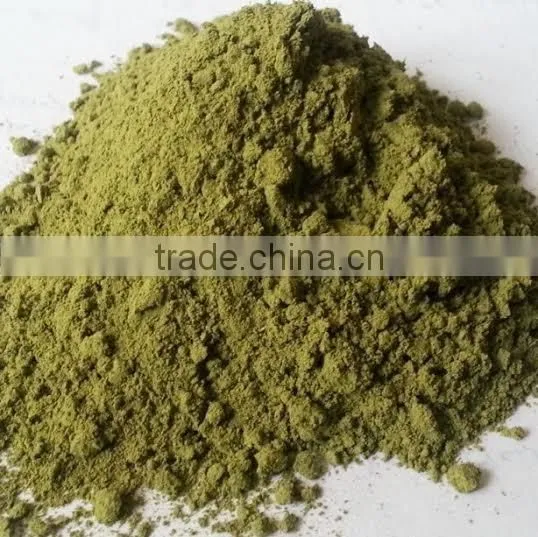 MORINGA POWDER, AYURVEDIC POWDER photo-2