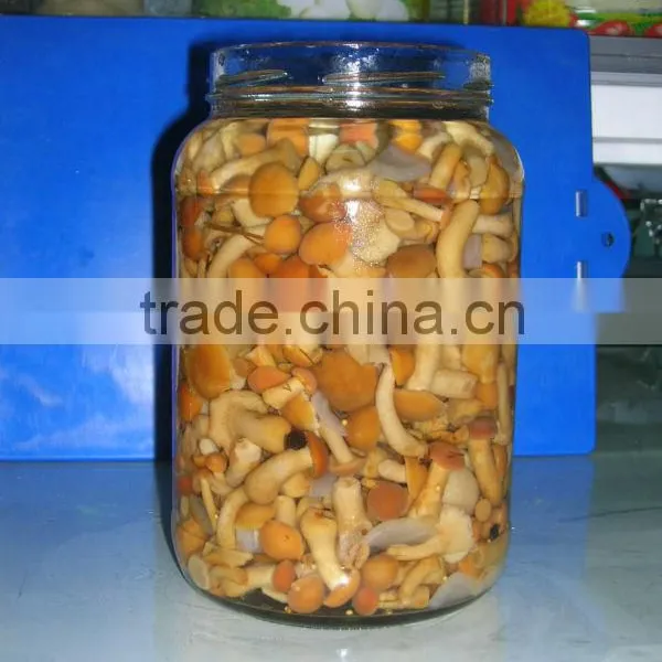 Canned Nameko in Brine Mushrooms in Jars 880ml photo-2