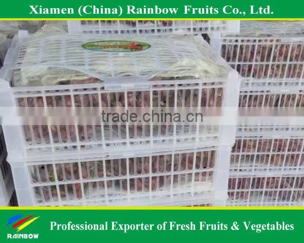 Fresh Red Globe Grape From Yunnan Xinjiang China photo-5