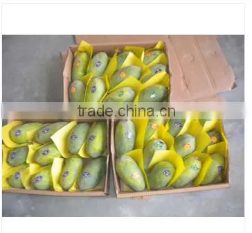 Fresh Mango