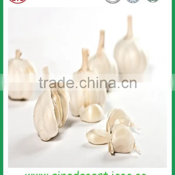 Chinese Jinxiang Grade A Fresh Normal White Garlic on Sale photo-5