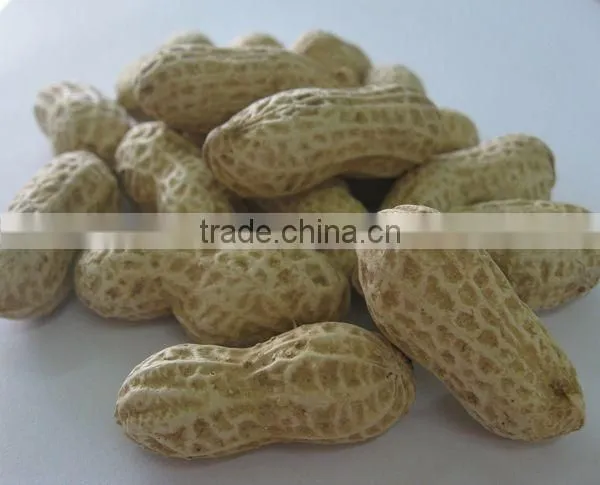 Chinese Peanut Kernels With Shell photo-2