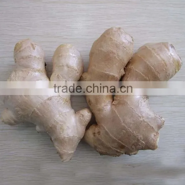 2016crop Air Dried Ginger Price photo-4