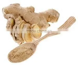 Ginger Ground photo-3