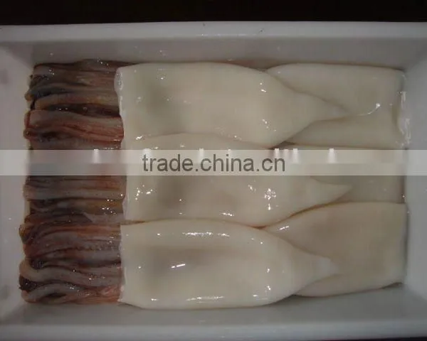 Frozen Fish