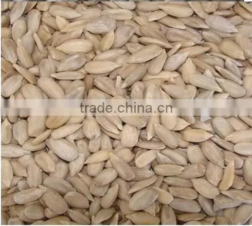 Bulk Raw Sunflower Kernels for Expot to Other Countries