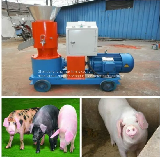 Small Homeuse Animal Flat Die Pellet Mill photo-3