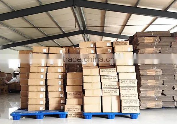 Application for Small Animals Tenebrio, Fish Application Premium Dried Mealworm photo-5