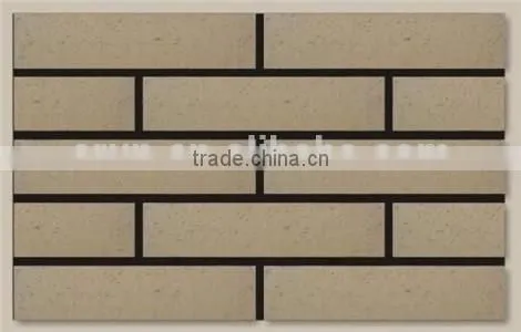 China Building Material House Multicolor Standard Size of Wall Brick photo-3