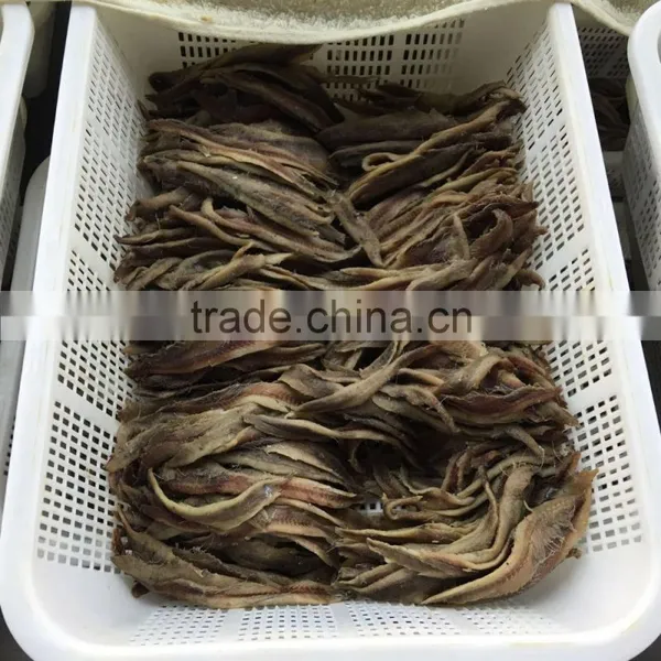 High Quality Vecum Packed Salted Anchovy Fillets photo-5