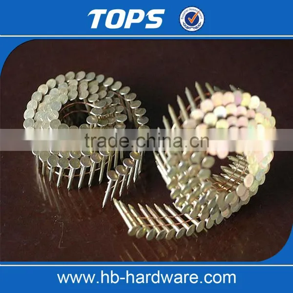 Low Price Good Quality Coil Roofing Nail Made in China photo-3
