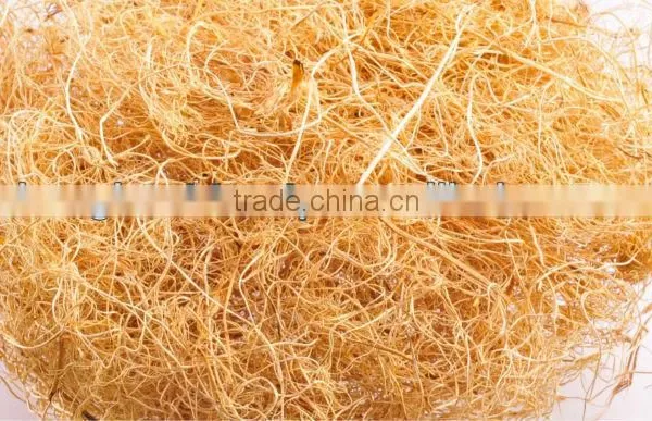 Oil Palm EFB Fiber For Mattress photo-2