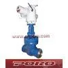Electrical Gate Valves