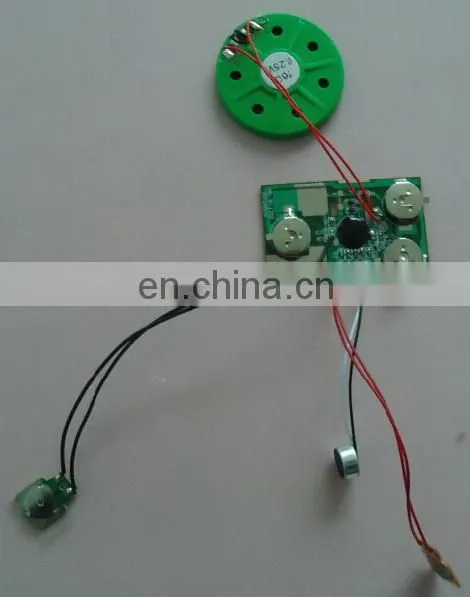 Recordable Audio Chips With Led Lights photo-6