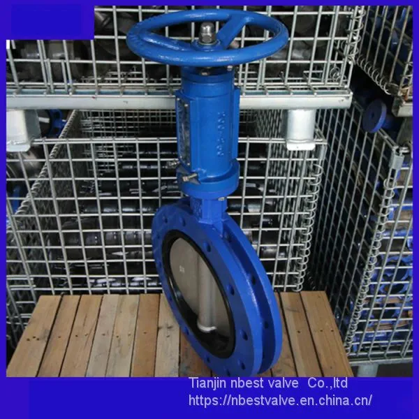 LXUD341XP-10Q U Type Center Worm Gear Butterfly Valve for Sea Water photo-3
