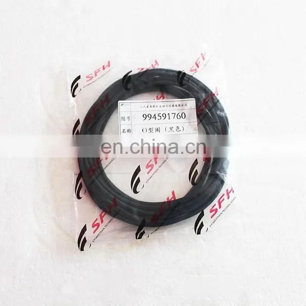 SAIC- IVECO 682 Series GENLYON Truck 994591760 O Ring Seal photo-4