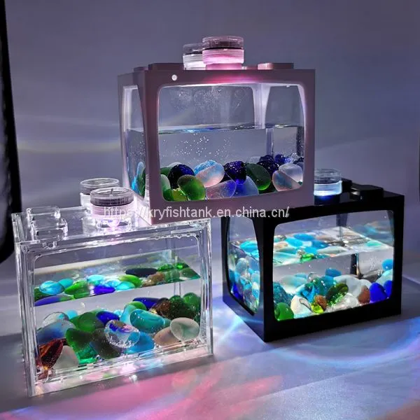 2020 Hot Sales Home Decoration Mini Fish Tank Aquaruim photo-4