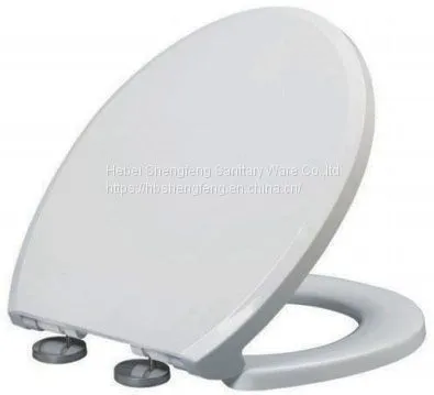 China Factory Soft Close Plastic d Shape Toilet Seat photo-4
