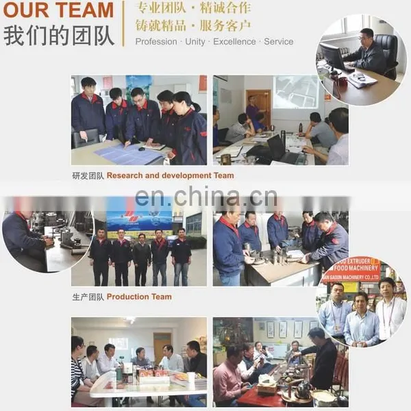 Hot Sale Batch Continuous Snack Food Pellet Cheetos Doritos Automatic Fryer Frying Machine photo-4