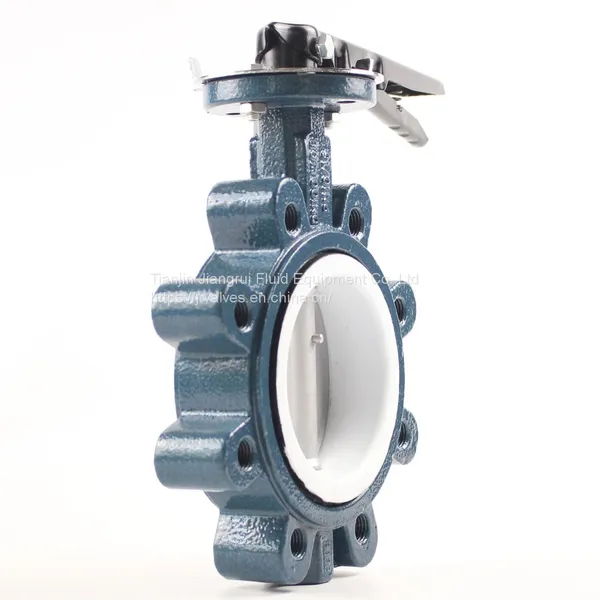 Lug Type PTFE Lined Wafer Manual Butterfly Valve photo-4