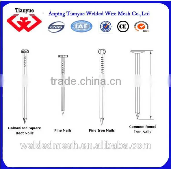 Hot Sale Kinds of Common Nails photo-3
