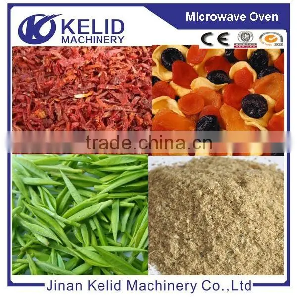 2015 New Condition Onion Mesh Belt Drying photo-3
