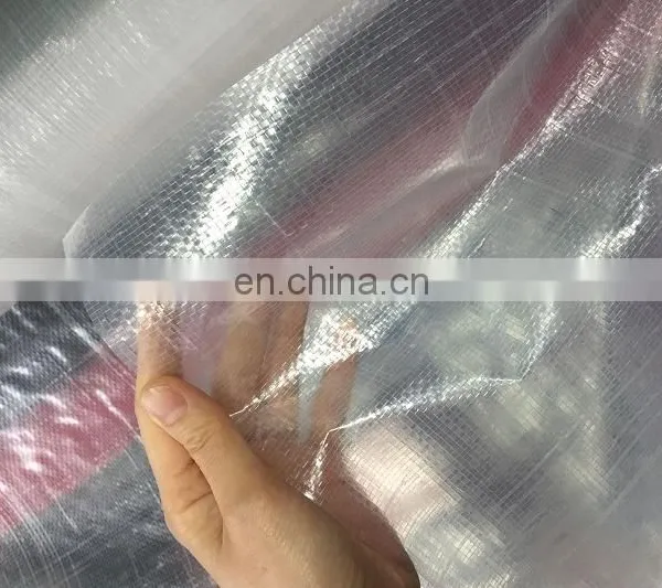 Transparent PE Tarpaulin UV Treatment Woven Fabric Film for Cherry Tree Protection Cover photo-3
