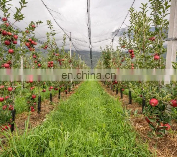 Wholesale Anti-hail Net For Orchards photo-5