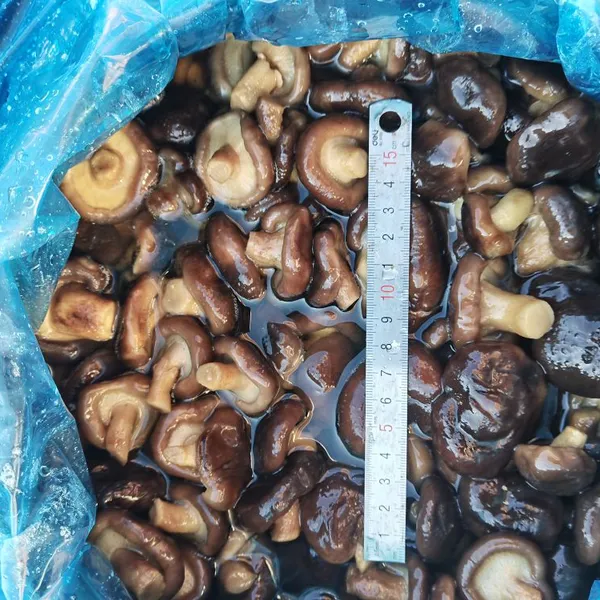 Shiitake in Brine