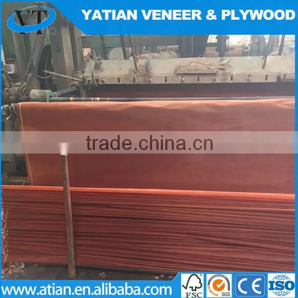 Rotary Cut 0.2-0.3mm Plywood Face Water Gum Veneer photo-3