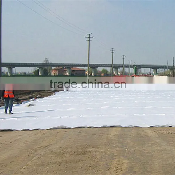 200g/sqm Geotextile photo-4