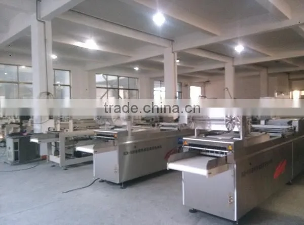 Standard Thermforming Vacuum Packing Machine, Auto-vacuum Packer , Vacuum Sealing Machine photo-4