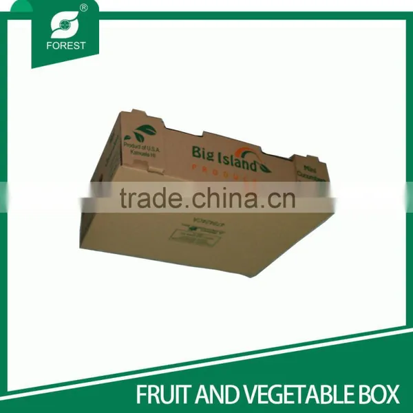 FLEXO PRINT BROWN CORRUGATED FRUIT CARTONS FOR PACKING GRAPES TOP SALE Quality Choice photo-4