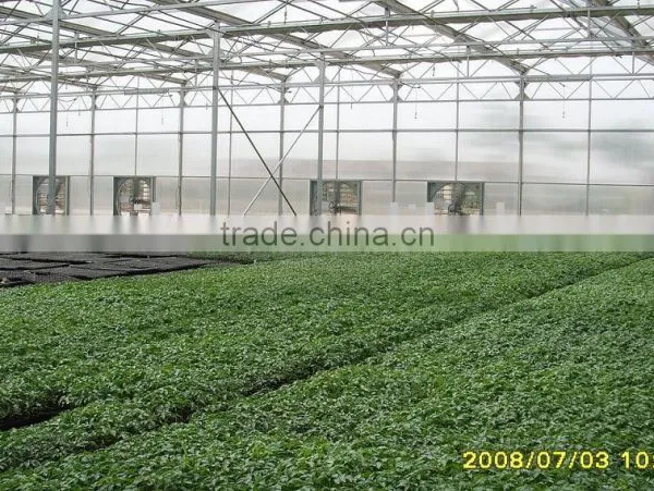 Venlo Garden Greenhouse for Mushroom photo-3