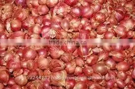 Shallot Exporters/Small Onion Exporters photo-3