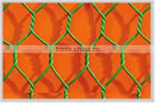 Pvc Hexagonal Green Plastic Wire Netting photo-3
