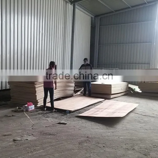 Commercial Plywood Viet Nam photo-3