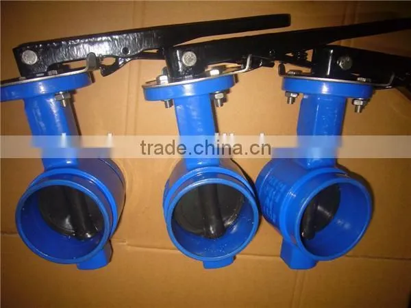 Butterfly Valve China Supplier photo-3