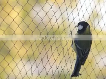 Anping Aviary Mesh for Animal Protection photo-2