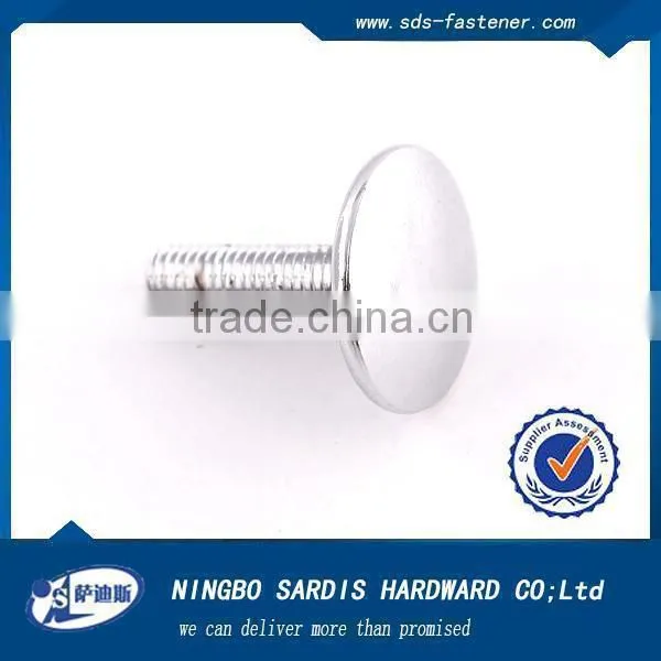 China Supplier Double Thread/head Bolt photo-5