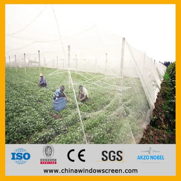 Insect Screen for Greenhouse photo-2