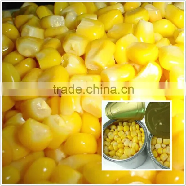 New Season 3000g Canned Yellow Peach photo-4