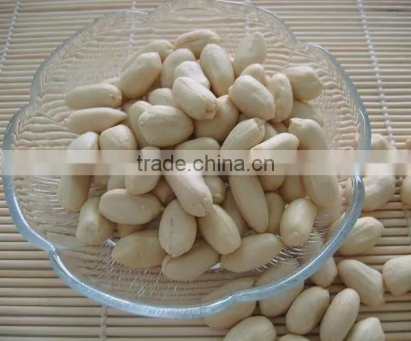 Blanched Peanut Kernel photo-4