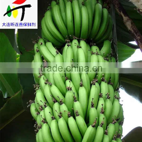 Direct Factory Price the Good Quality Ethylene Ripener for Banana(12) photo-2