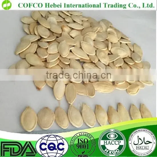 Shine Skin Pumpkin Seeds