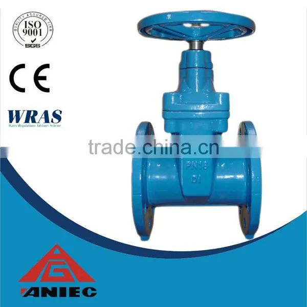 Ductile/cast Iron Api Gate Valve